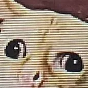 chat with ai character: kitty(2)