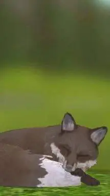 ai character: Fox background