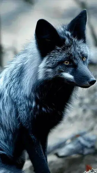 ai character: Fox background