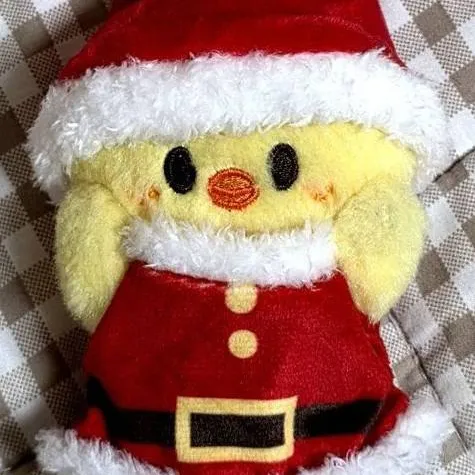 chat with ai character: Bbokari ✨