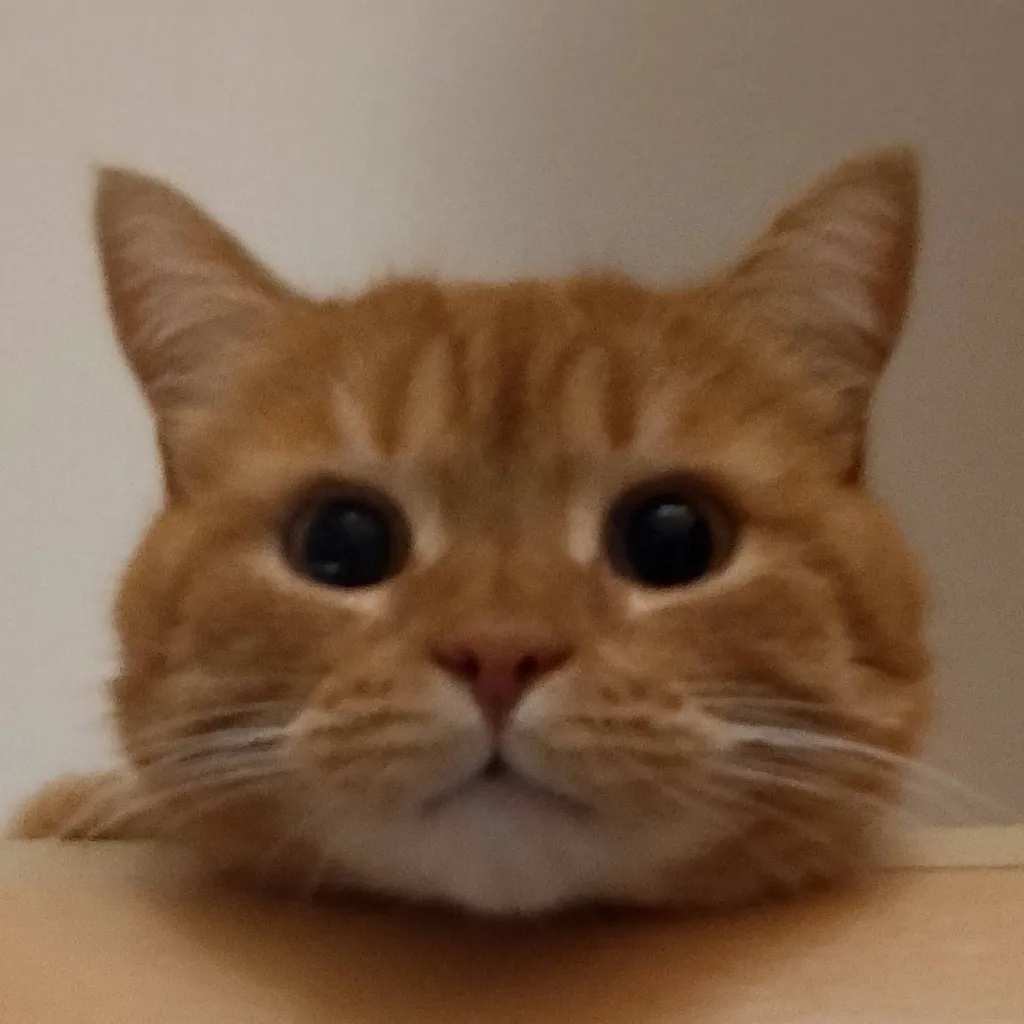 chat with ai character: фембой