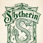 chat with ai character: Slytherins boyz