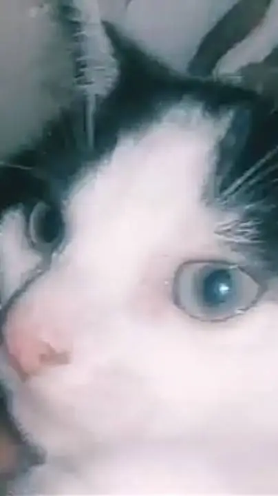 ai character: Lex  background