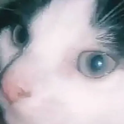 chat with ai character: Lex 