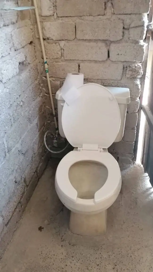 ai character: skibidi toilet background