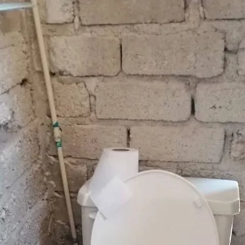 chat with ai character: skibidi toilet