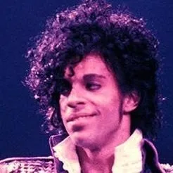 chat with ai character: 𝓟𝓻𝓲𝓷𝓬𝓮 𝓡𝓸𝓰𝓮𝓻𝓼