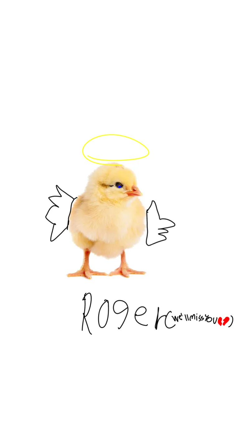 ai character: Rodger(iykyk) background