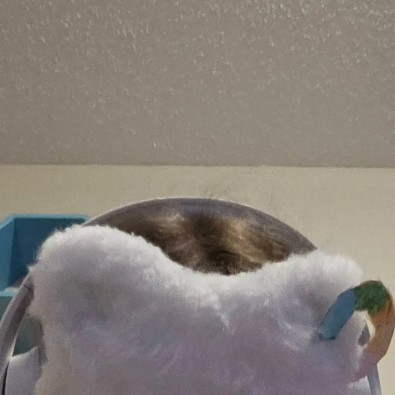 chat with ai character: DJsquishyfox#patch