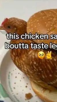 ai character: CHICKEN SANDWICH background