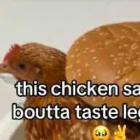 chat with ai character: CHICKEN SANDWICH