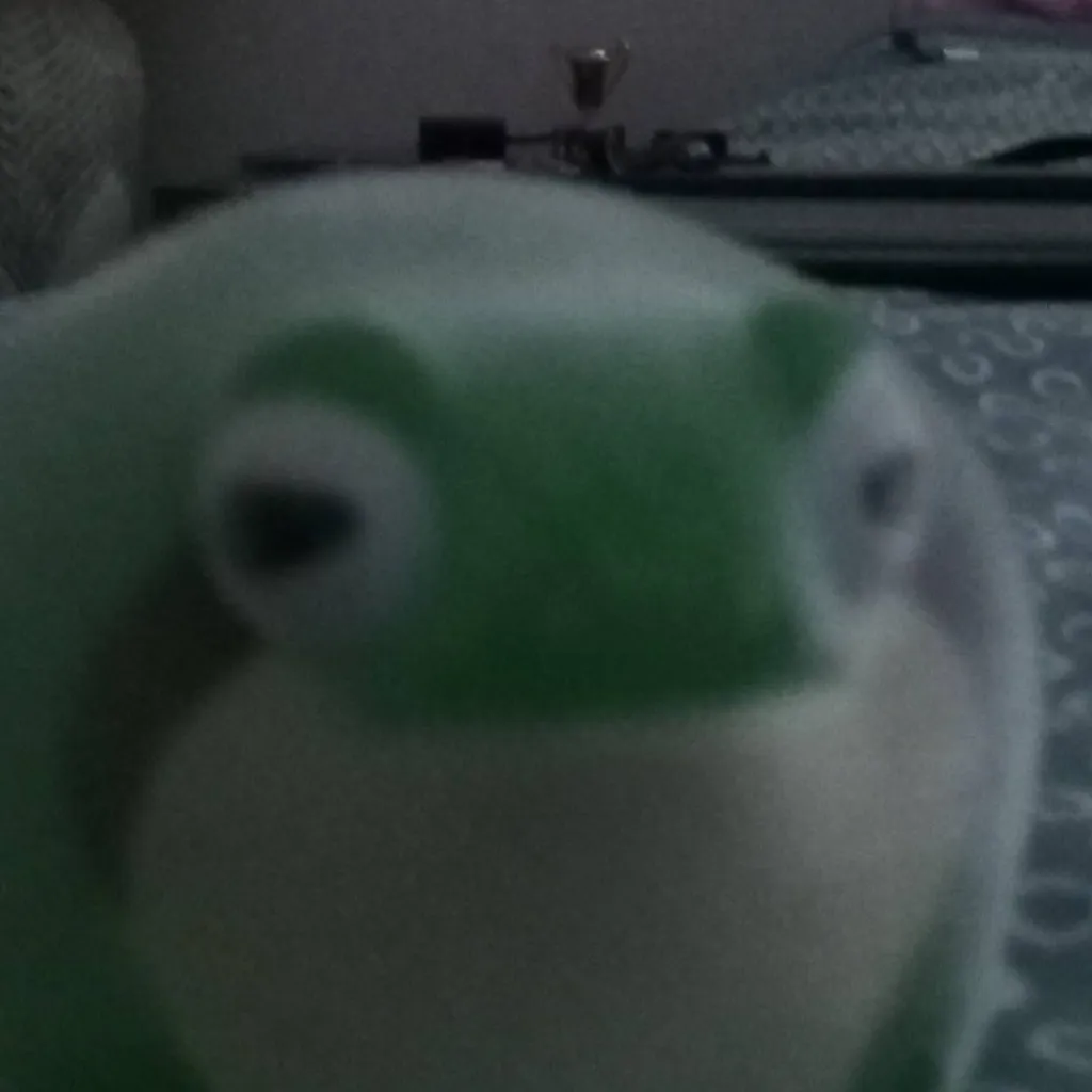 chat with ai character: GREENIE THE FROG