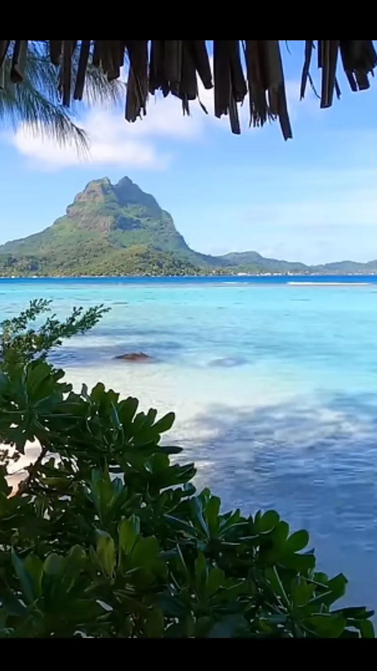 ai character: Zodiac Sign background