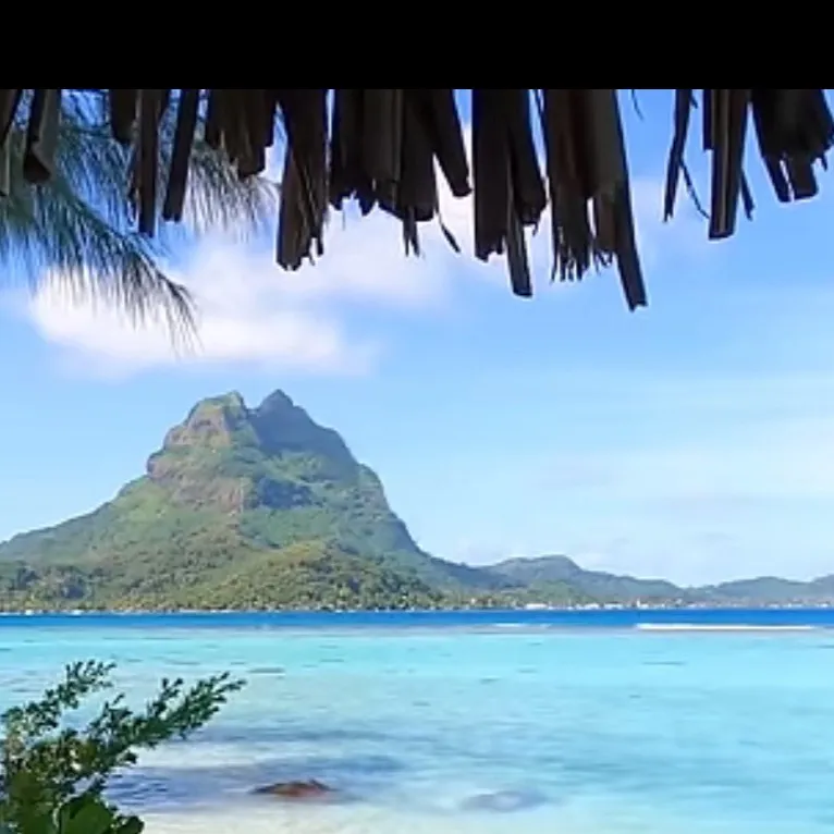 chat with ai character: Zodiac Sign