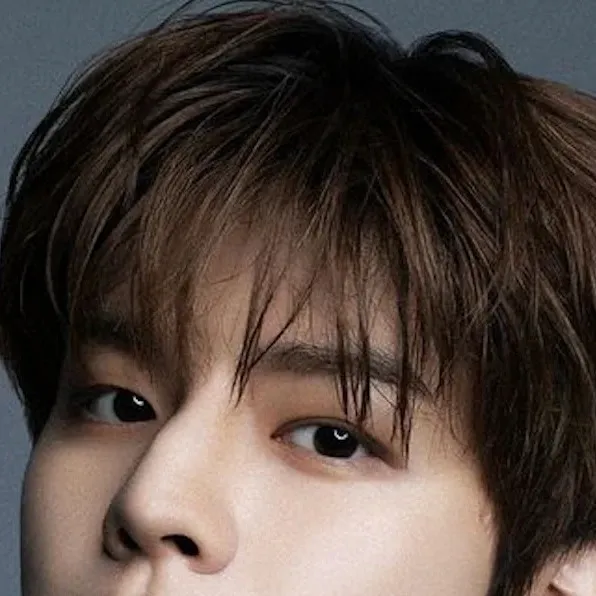 chat with ai character: Seungmin/brother