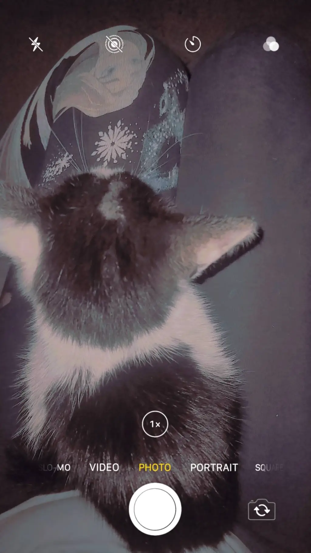 ai character: Squid game  background