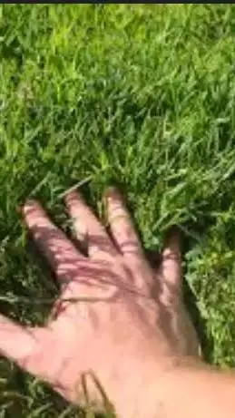ai character: Touch Grass background