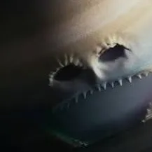 chat with ai character: planetas despiertn