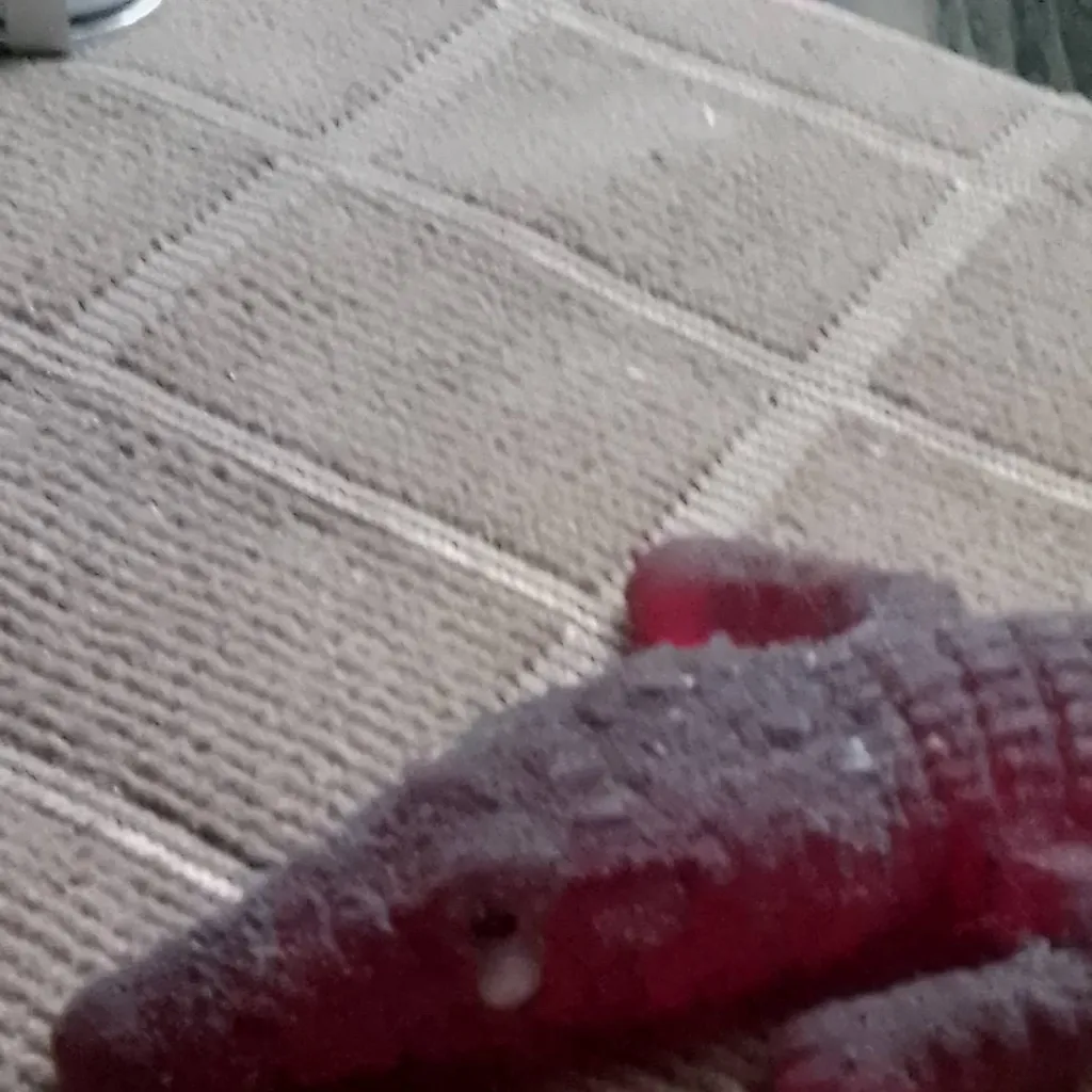 chat with ai character: JUNIOR THE GATOR