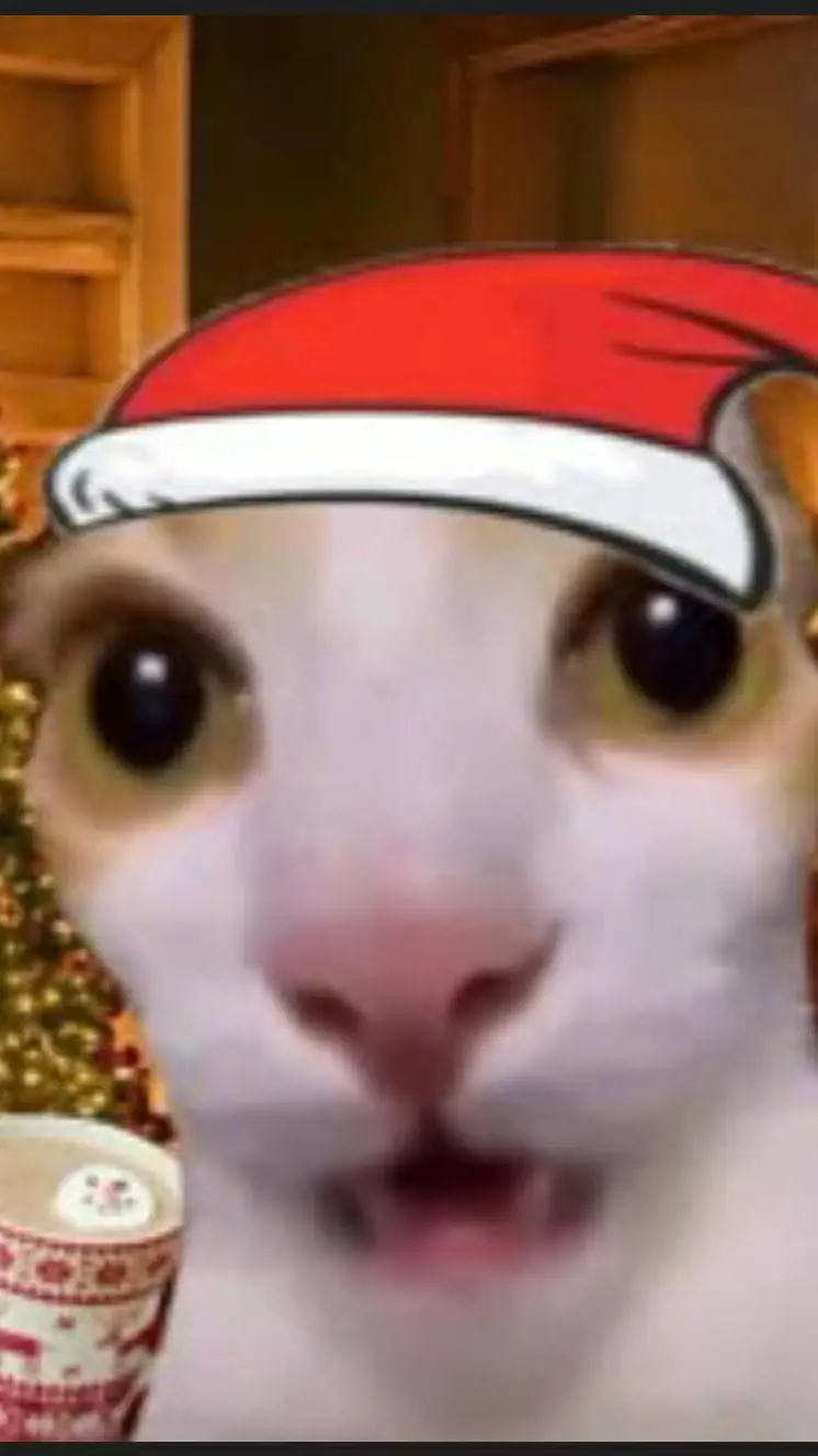 ai character: SANTA CAT (freaky) background