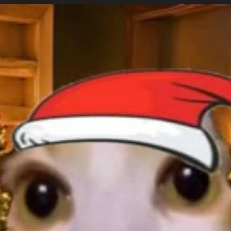 chat with ai character: SANTA CAT (freaky)