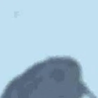 chat with ai character: Bird