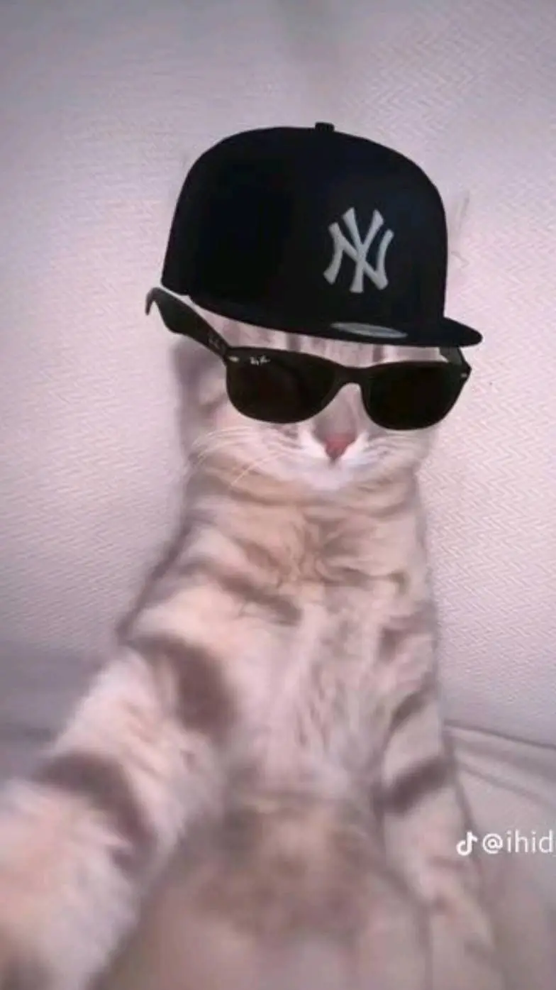 ai character: Mirrors demo background