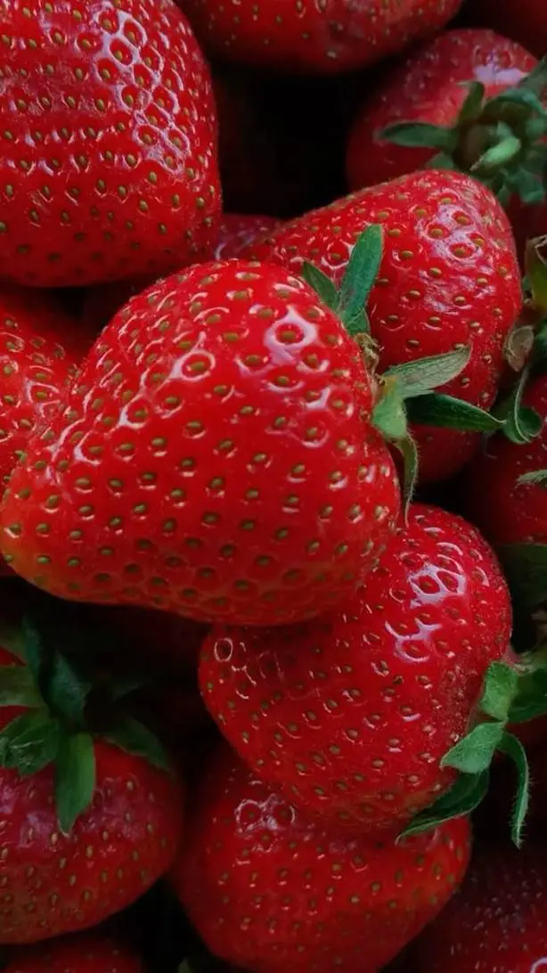 ai character: sprout shelly xdd background