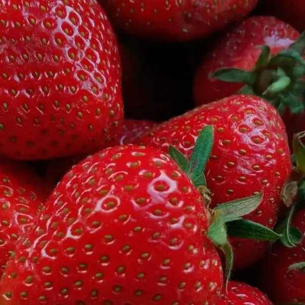 chat with ai character: sprout shelly xdd