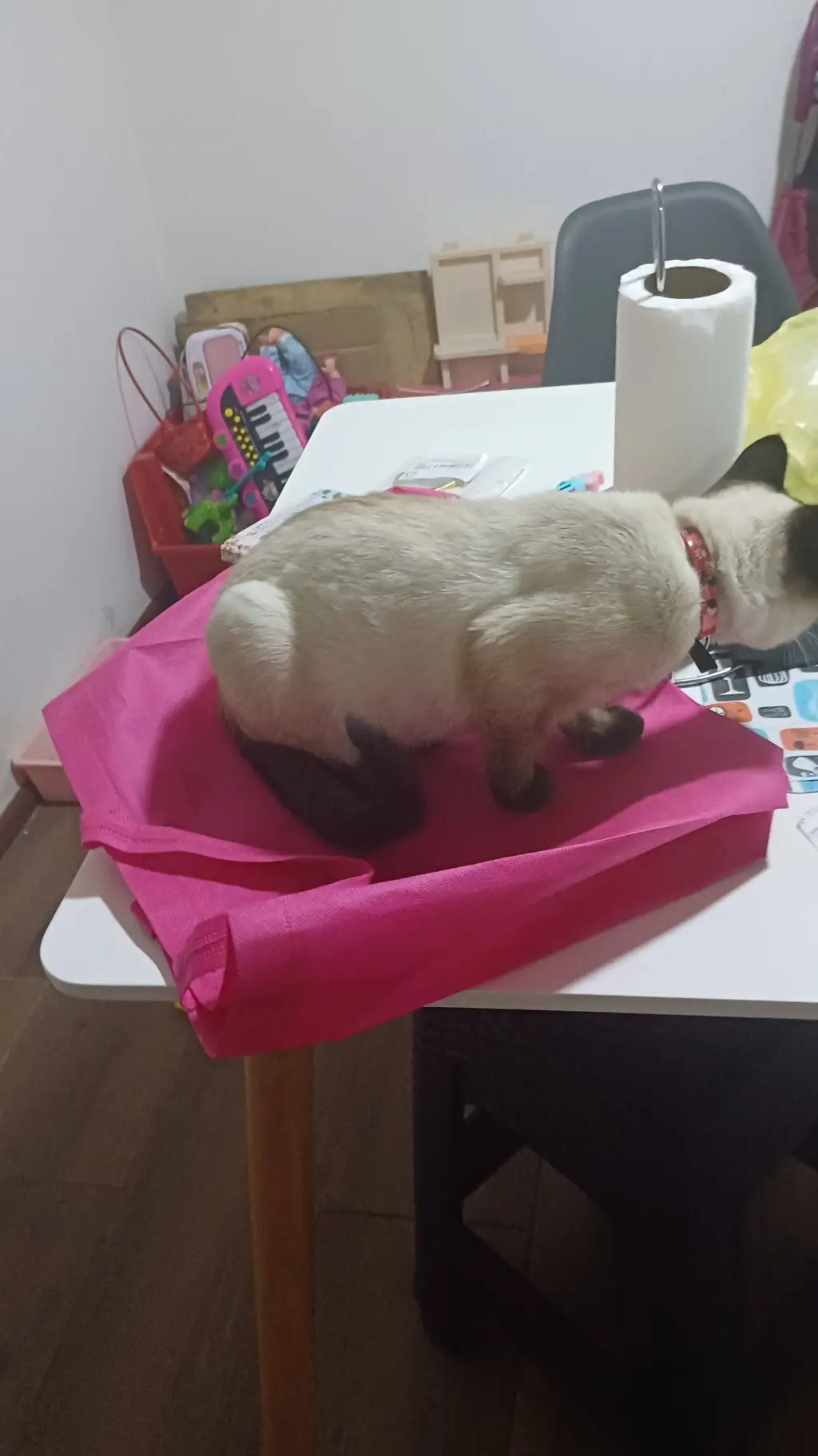 ai character: jandel q carajos background