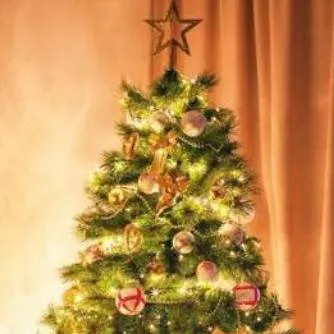 chat with ai character: MD Christmas ❄️