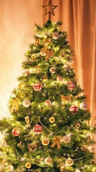 Talkie AI - Chat with MD Christmas ❄️