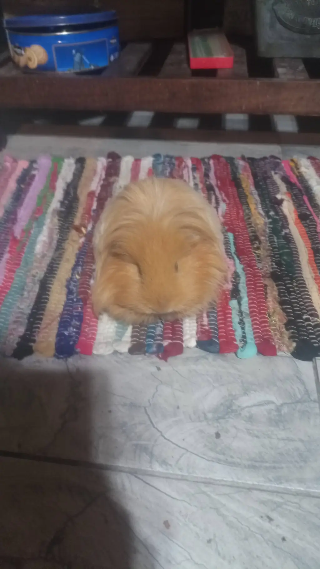 ai character: PEBBLE background