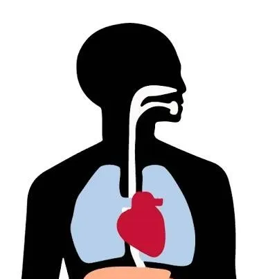 chat with ai character: cuerpo humano 