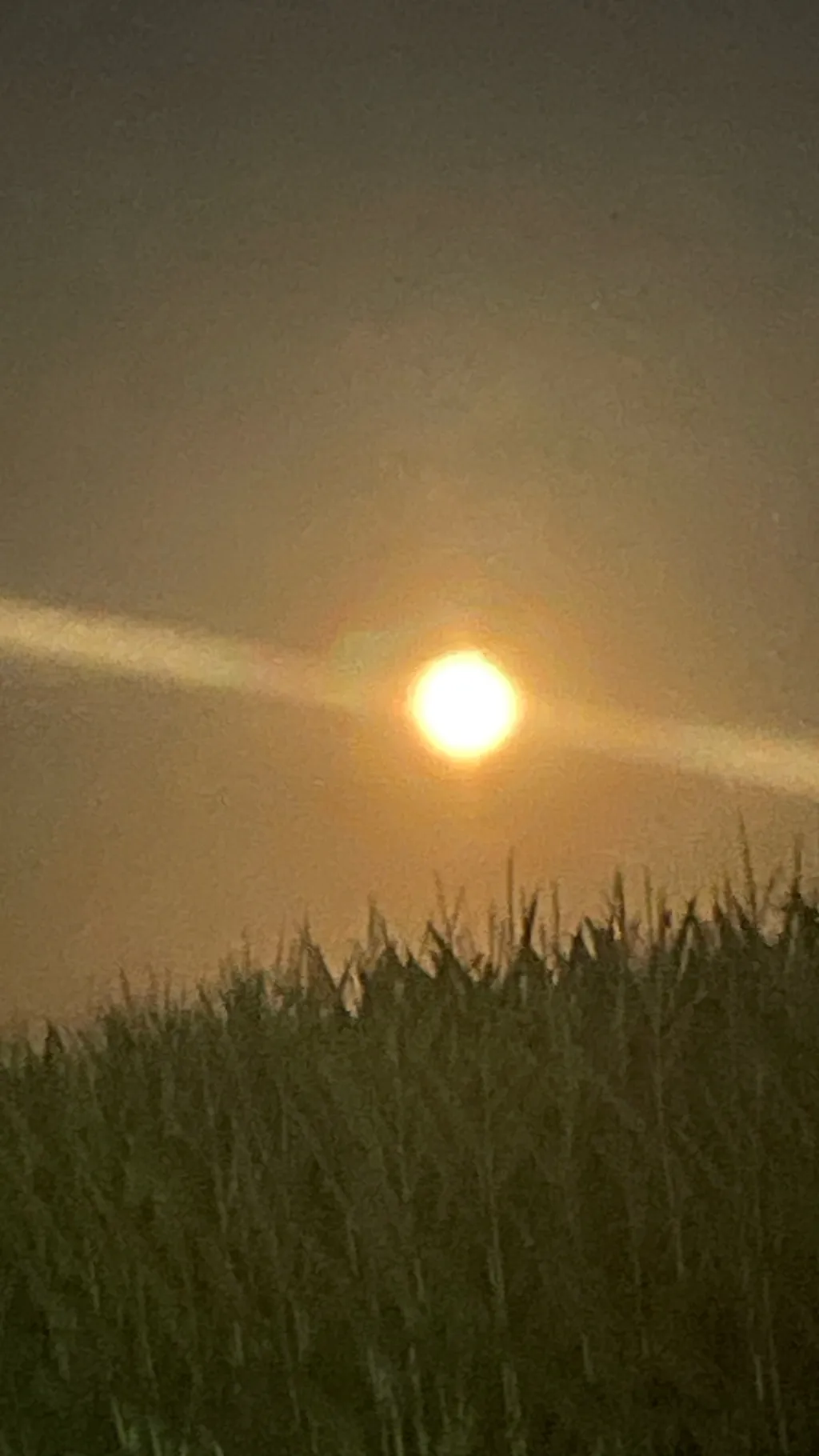 ai character: Monica and Blair  background