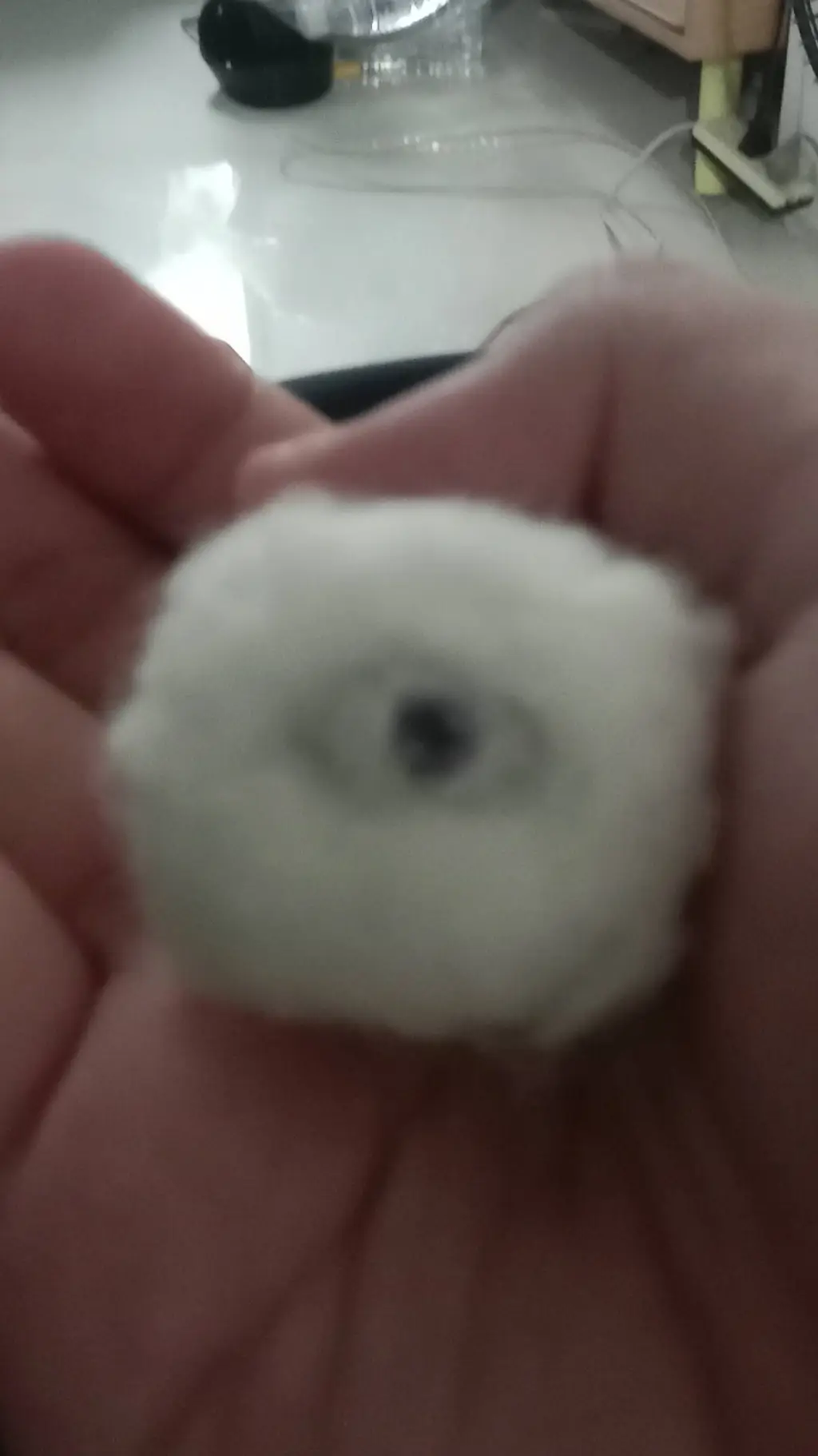 ai character: Dave background