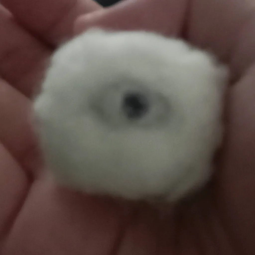 chat with ai character: Dave