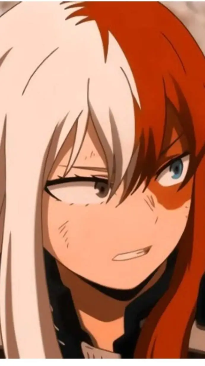 ai character: famille Todoroki  background