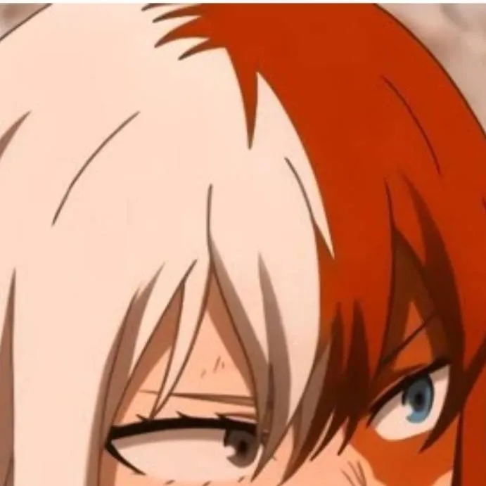 chat with ai character: famille Todoroki 