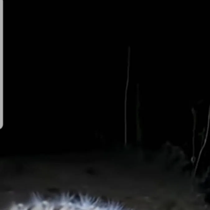 chat with ai character: 🥰