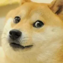 chat with ai character: doge