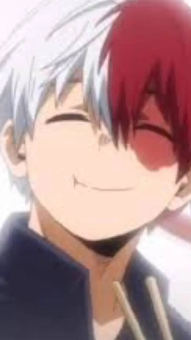 ai character: Todoroki background