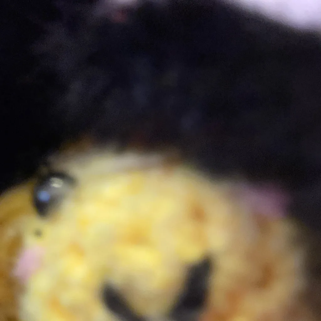 chat with ai character: Senior