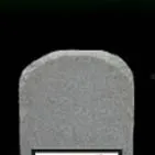 chat with ai character: rip talking tom