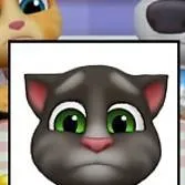 chat with ai character: hate tom