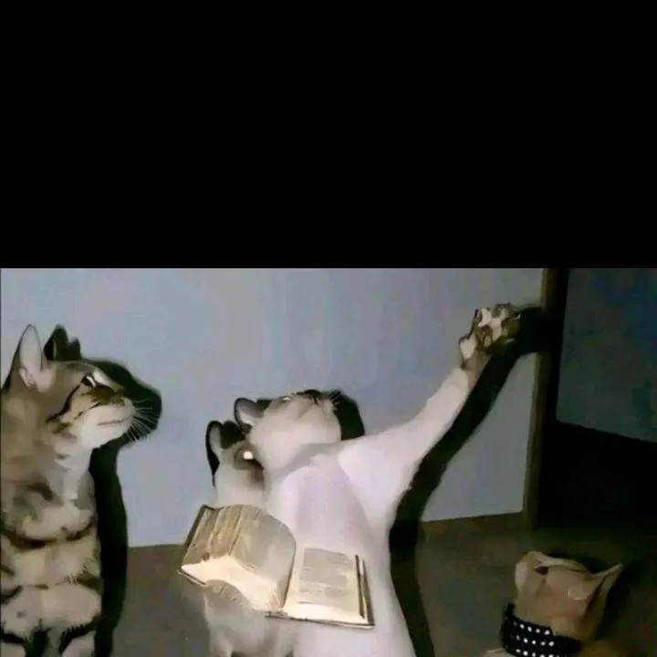 chat with ai character: el papa es un gato