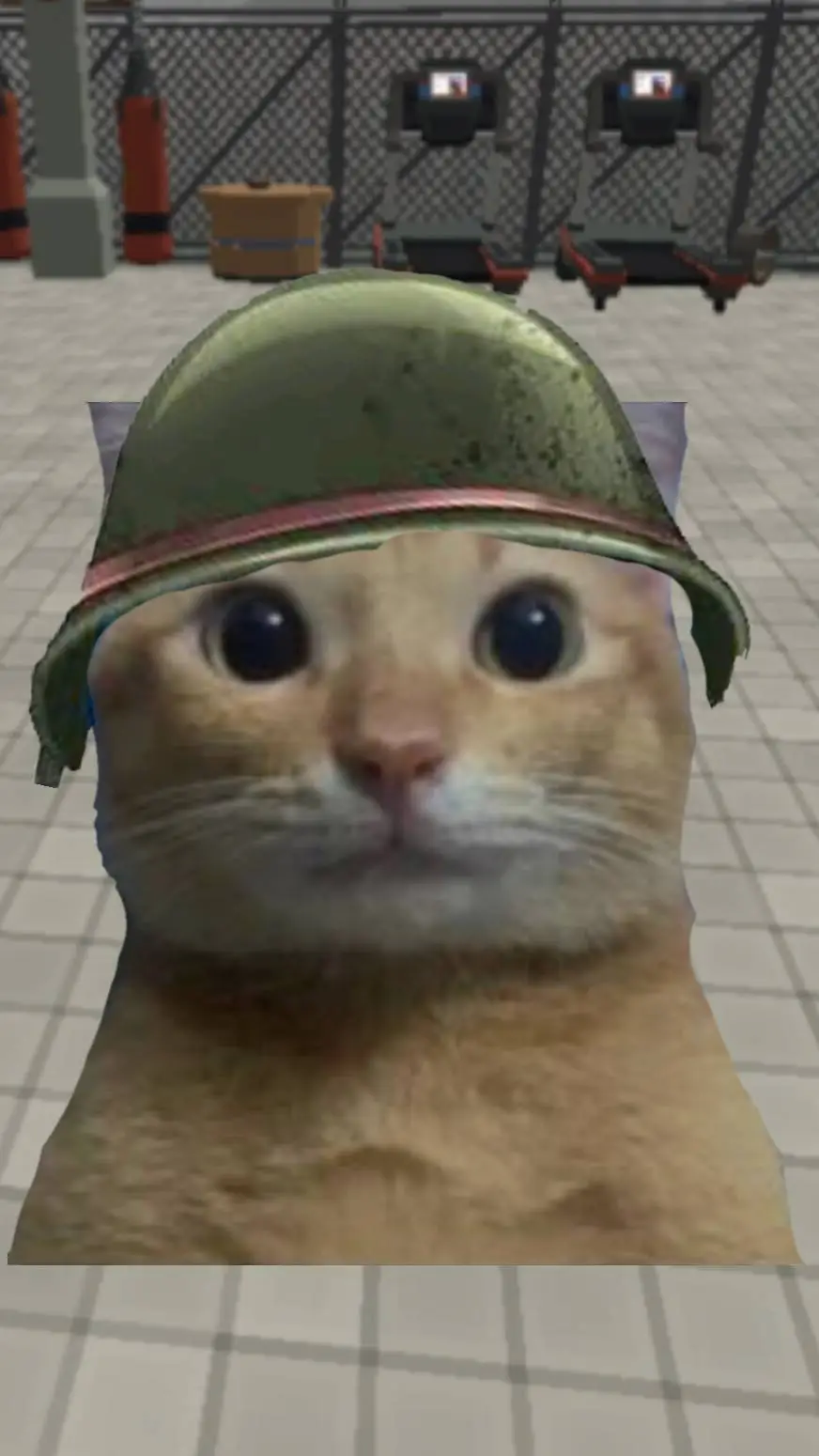 ai character: Gato militar background