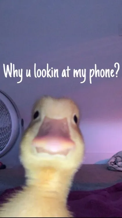 ai character: ☆-007n7- background