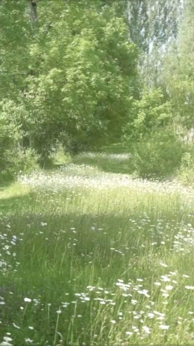 ai character: Your story background