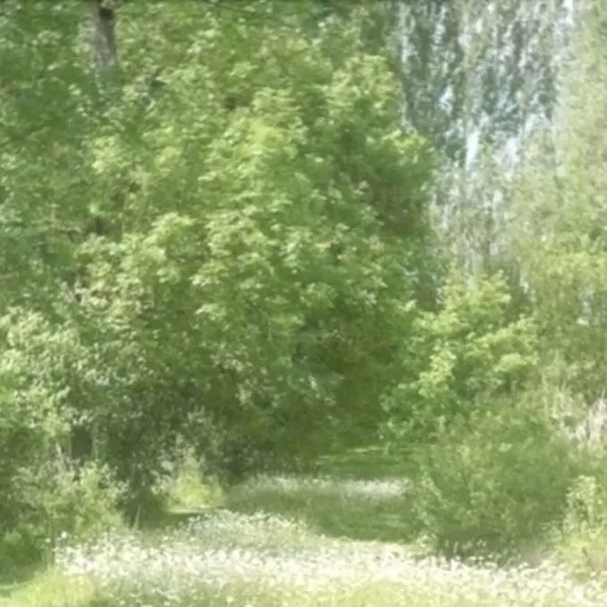 chat with ai character: Your story